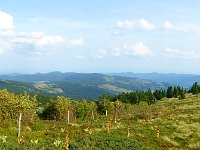 Hautes Vosges 27 08 2017  (41)
